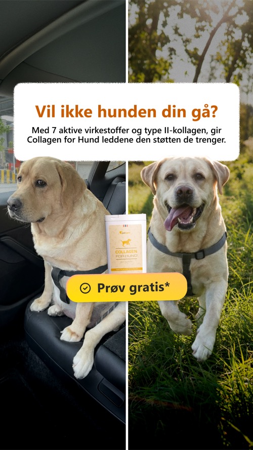 Ad creative