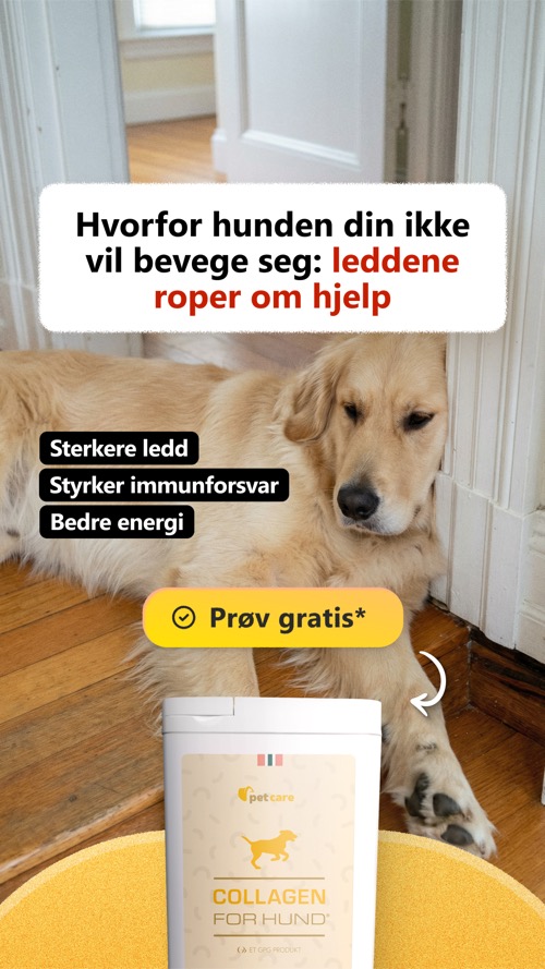 Ad creative