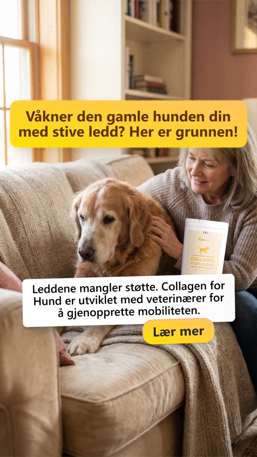 Ad creative