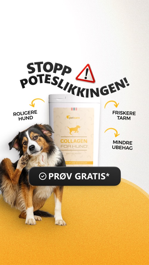 Ad creative