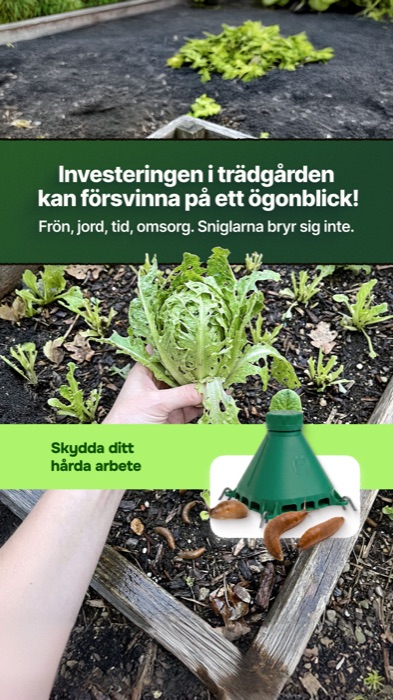 Snigelfällan