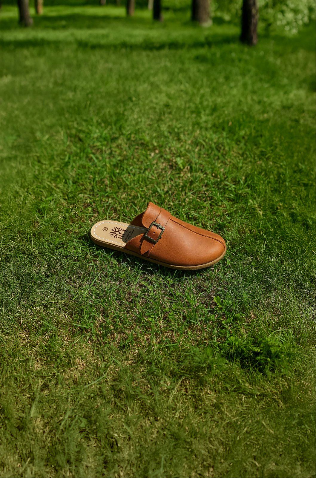 Earthing Harmony brand photo