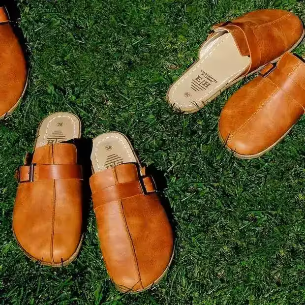 Earthing Harmony product