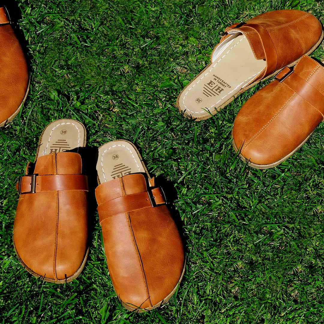 Earthing Harmony product